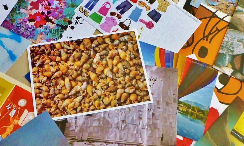 Design A Postcard Intro To Graphic Design Using Adobe Indesign Small Online Class For Ages 12 17 Outschool