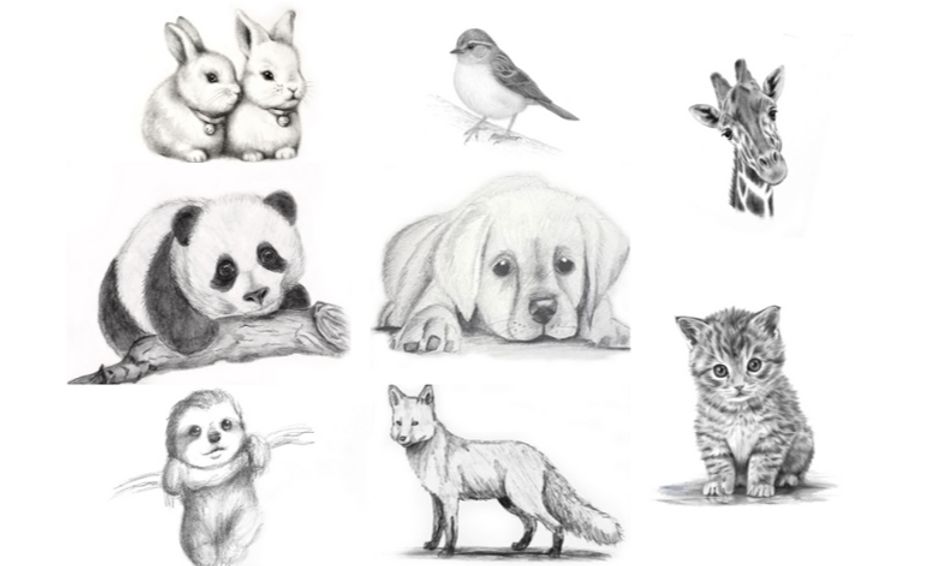 8 Week Pencil Sketching Series Realistic Animals Small Online Class For Ages 8 13 Outschool Here presented 64+ realistic animals drawing images for free to download, print or share. 8 week pencil sketching series realistic animals small online class for ages 8 13