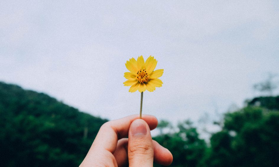 Share Your Sunshine Club Ages 10 13 Small Online Class For