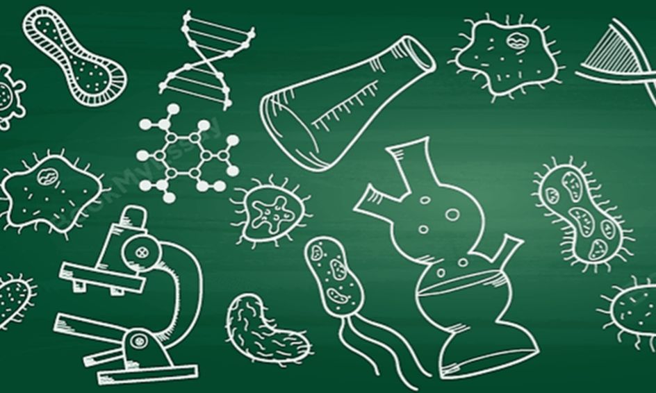High School Biology Part 1 Of 3 Small Online Class For Ages 12