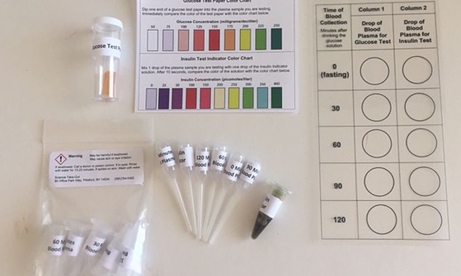 Diagnosing Diabetes Lab Small Online Class For Ages 13 17