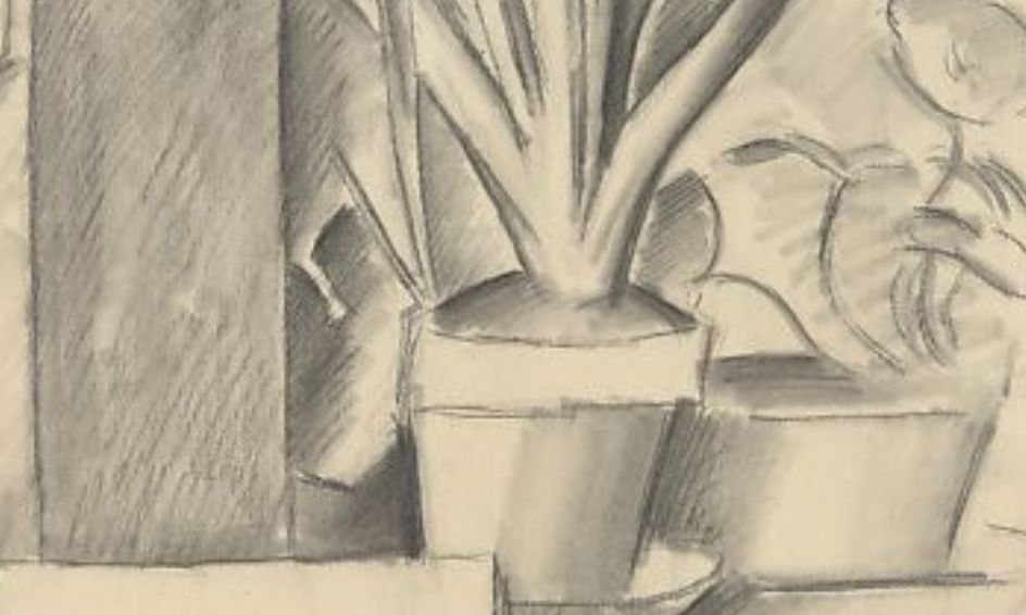 Still Life Drawing Club Small Online Class For Ages 12 17