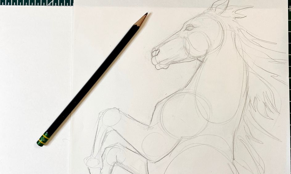 Drawing Horses Rearing Stallion Small Online Class For Ages 9 12 Outschool Can you draw a picture of my dog. drawing horses rearing stallion small online class for ages 9 12