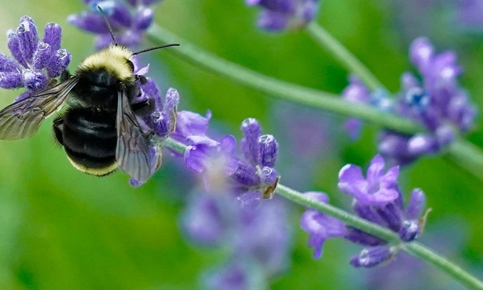 Learn The Fundamentals Of Photography And Digital Editing With On1