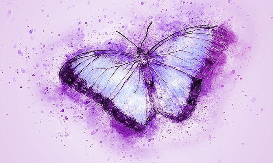 Watercolor Butterfly Small Online Class For Ages 11 16 Outschool