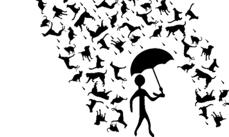 Learning About Idioms It S A Piece Of Cake Small Online Class For Ages 8 13 Outschool
