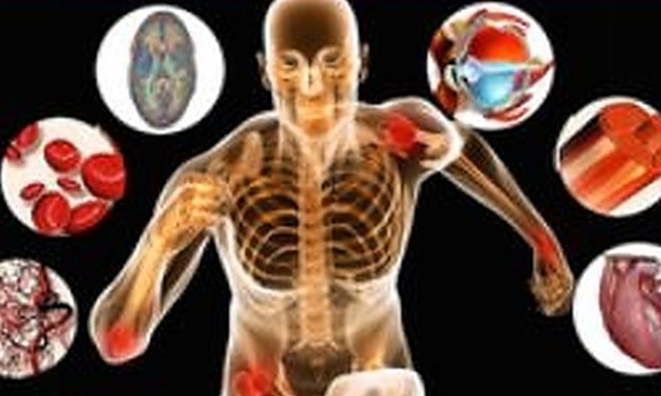 Physiology How We Function During Exercise Small Online Class For Ages 13 18 Outschool