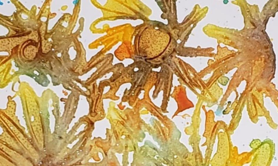 Van Gogh Inspired Salty Sunflowers Small Online Class For Ages 7 12 Outschool - sunflower pics of roblox avatars