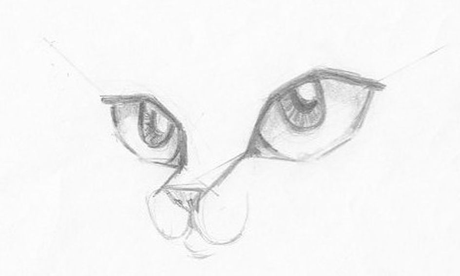 Flex Class How To Draw Manga Cats Small Online Class For Ages