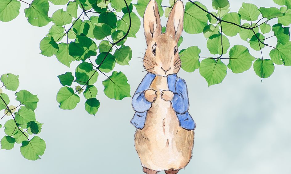 the tale of peter rabbit wiggle jiggle storytime small online class for ages 3 6