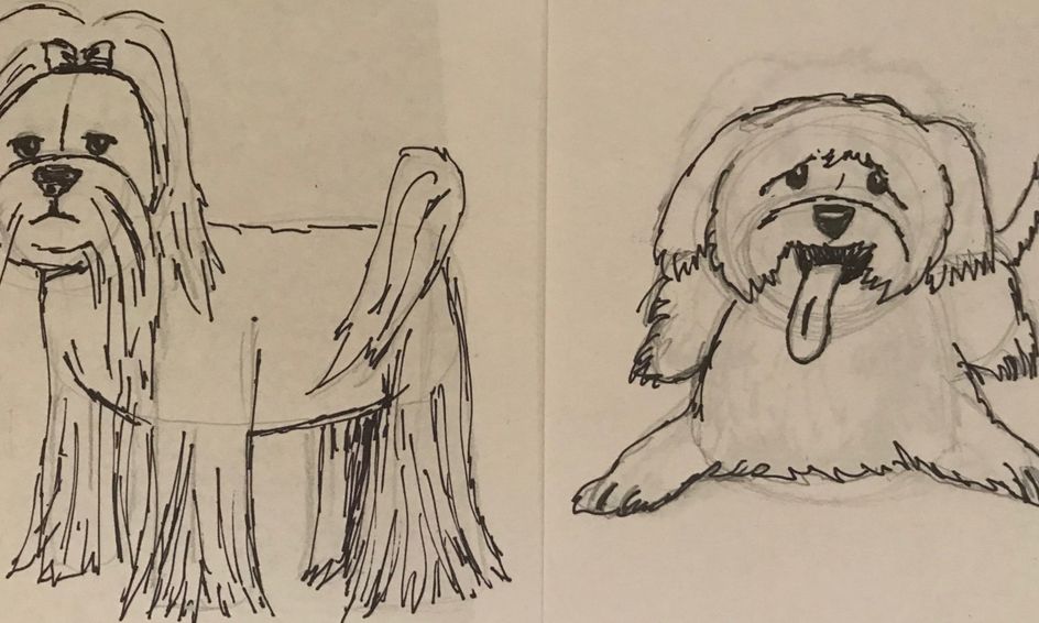 Drawing Animals Maltese Dog Small Online Class For Ages 9 13 Outschool,Black Woman Face Side View Silhouette