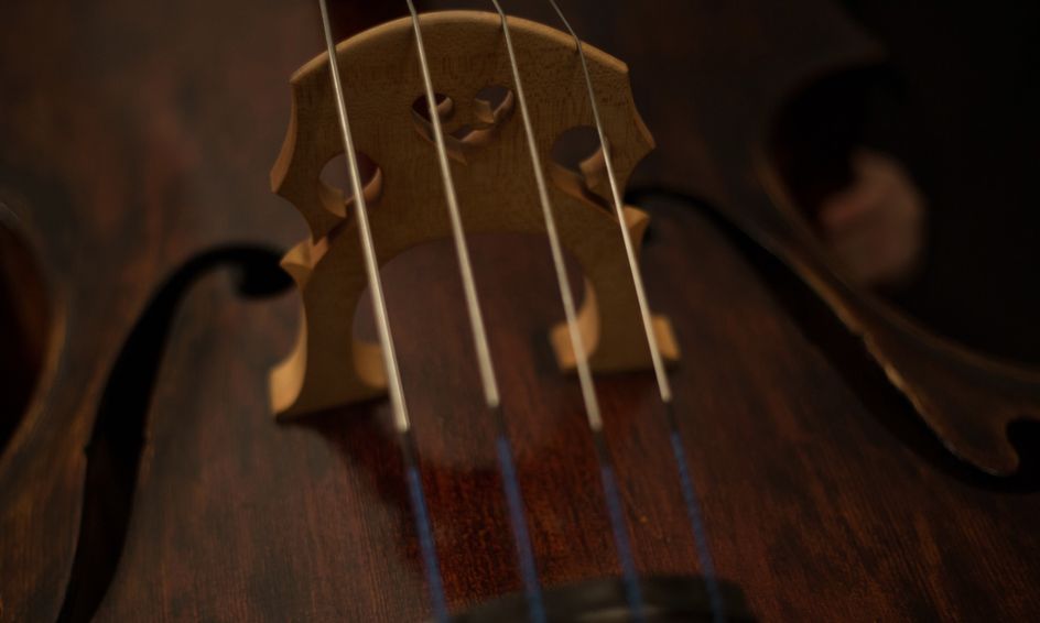 Violin for Beginners Holding Your Instrument and Plucking the Strings
