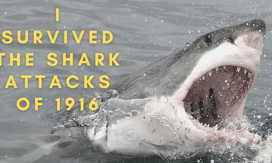 I survived the shark attacks of 1916 book club small online class