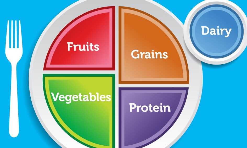 How To Make Your Food Plate Great Small Online Class For Ages 3 6 Outschool