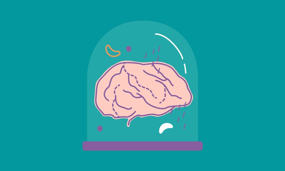 Brain Science Where Does Anxiety Come From Small Online Class