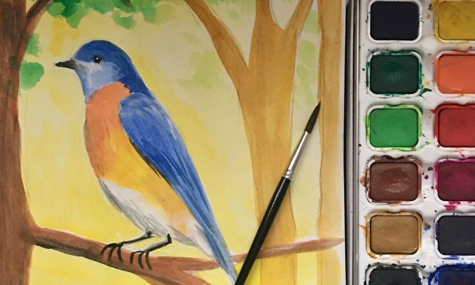 Let S Draw And Paint More North American Birds Small Online