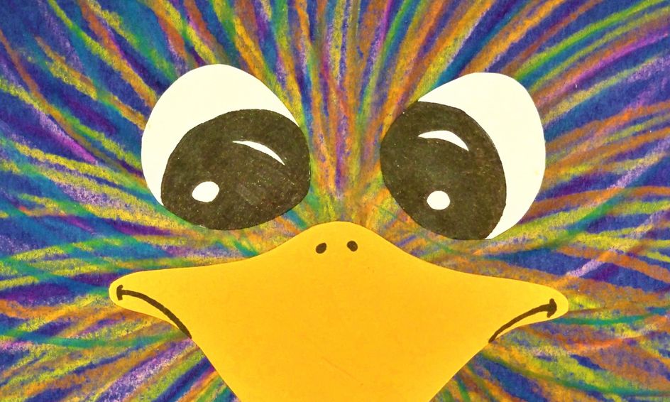 Draw A Wacky Emu Small Online Class For Ages 6 9 Outschool