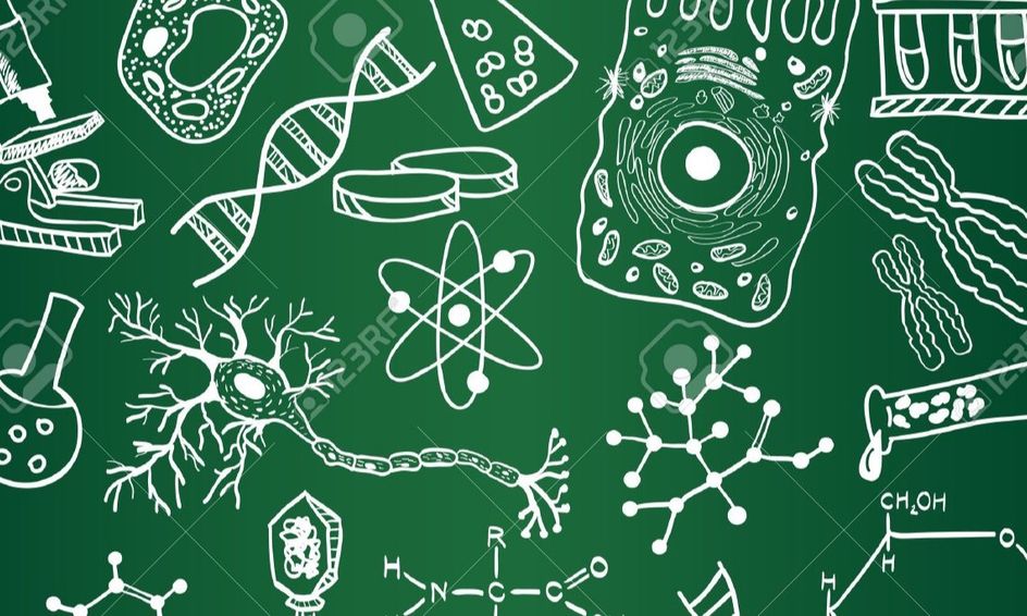General Biology First Semester Small Online Class For Ages 13