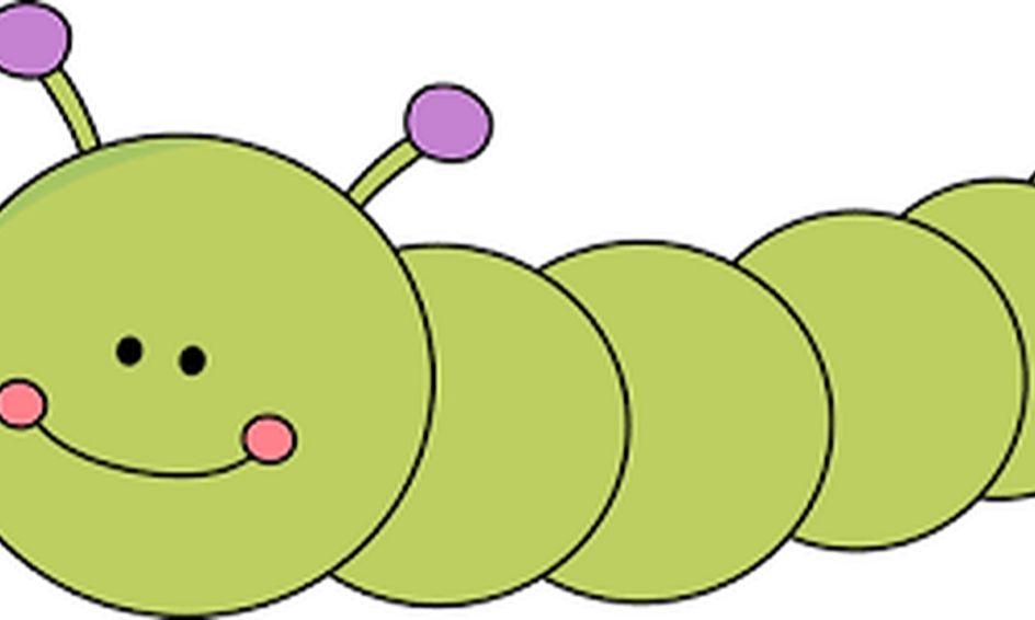 Sequencing With The Hungry Caterpillar For Young Learners Small Online Class For Ages 4 7 Outschool