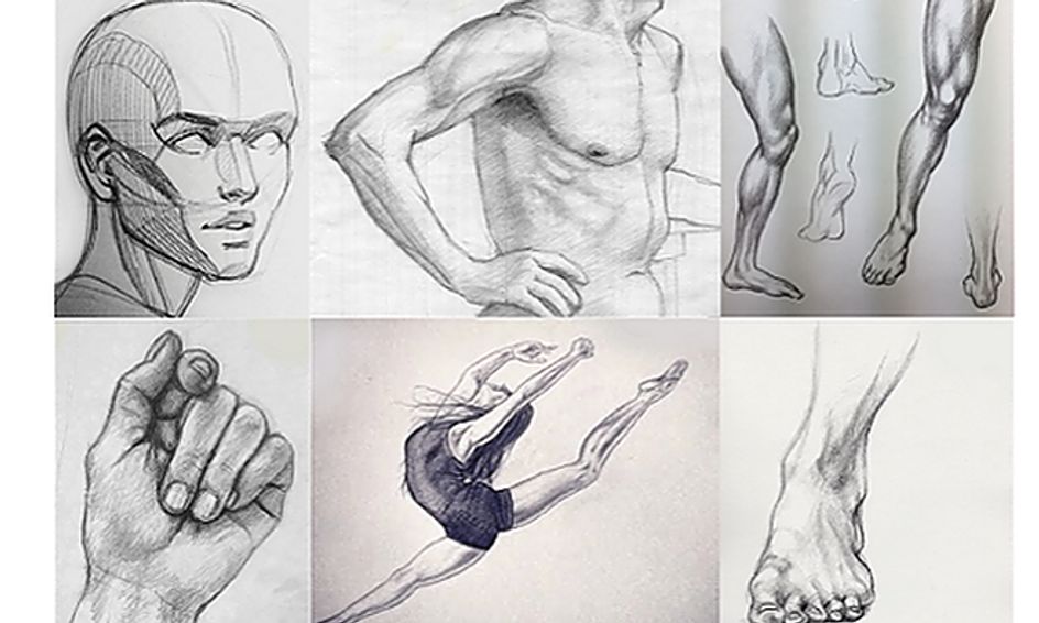 8 Week Pencil Sketching Series Figure Drawing Anatomy For Teens Small Online Class For Ages 13 18 Outschool,Human Fox Girl Drawings