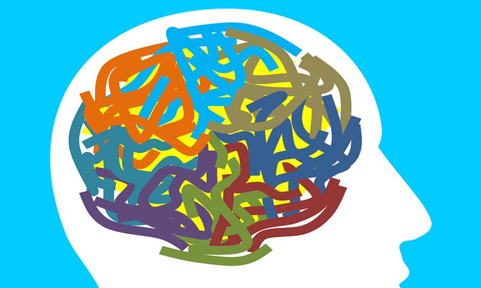 Psychology For Middle Schoolers Small Online Class For Ages 11