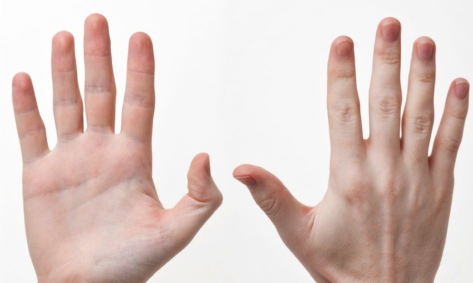 Asl For Early Elementary Small Online Class For Ages 5 10