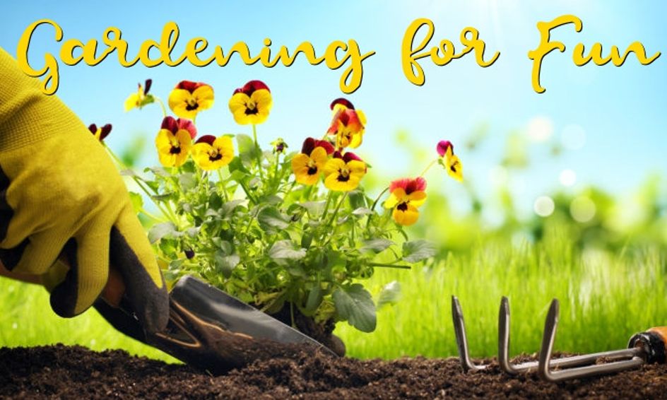 Gardening For Fun 1 Small Online Class For Ages 7 12 Outschool