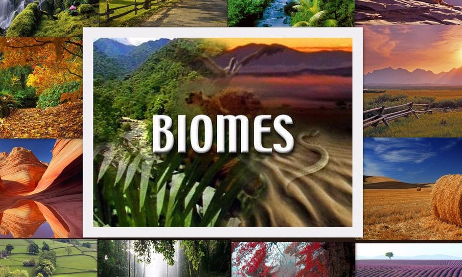 Science Mission Biomes And Ecosystems Small Online Class For