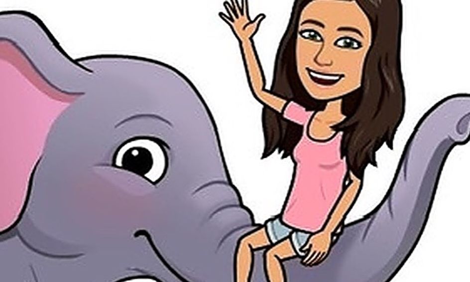 Summer Camp Draw Cute Animals Hedgehog Flamingo Dolphin And More Small Online Class For Ages 5 9 Outschool Elephant is a big animal and is found in various parts of the world. summer camp draw cute animals hedgehog flamingo dolphin and more small online class for ages 5 9