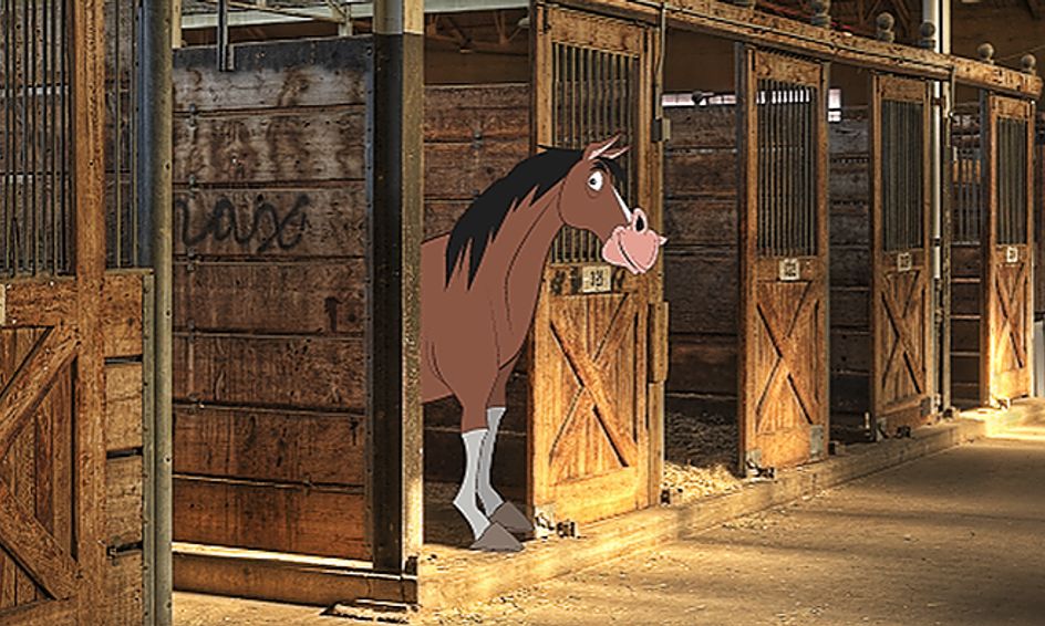The Basics of Horse Anatomy | Small Online Class for Ages 7-10 | Outschool