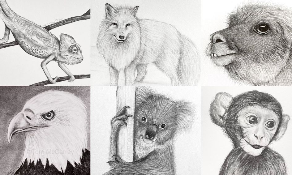 Animal Art Realistic Animal Sketching Small Online Class For Ages 10 15 Outschool