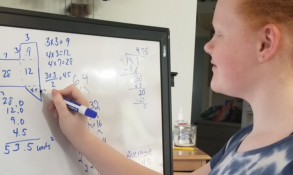 Saxon Math 7 6 Chapters 81 120 Finish Strong Small Online Class