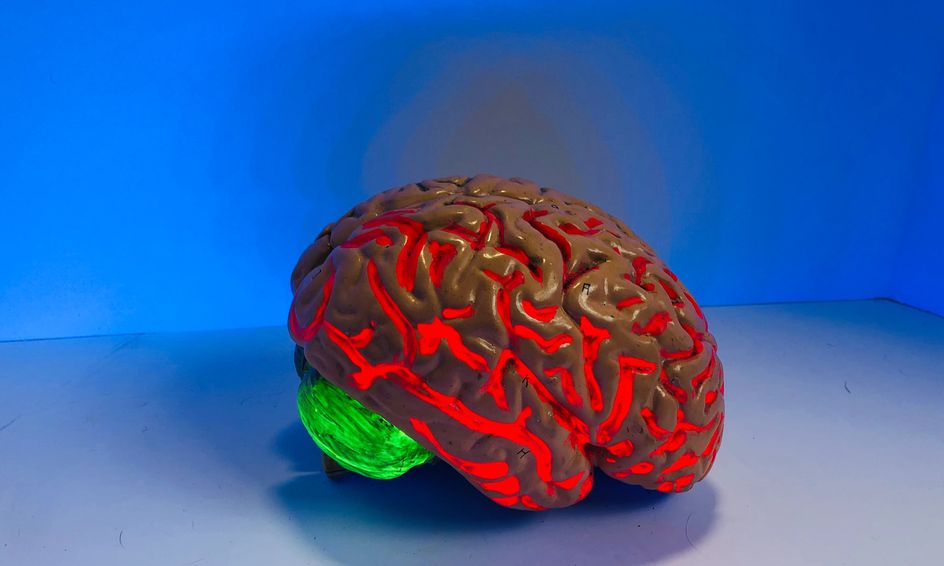 How Your Brain Works And Weird Stuff That Happens When Things Go