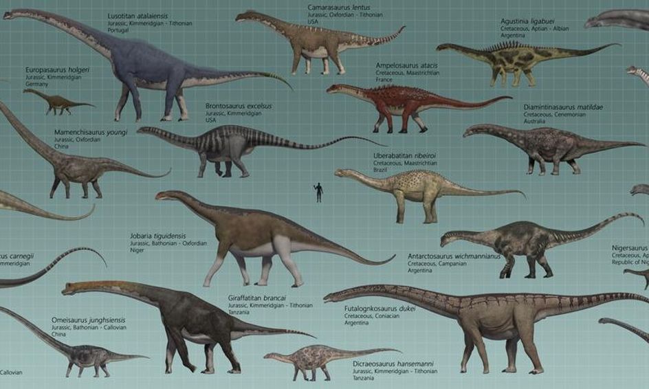 Dinosaurs 101-D: The Sauropods | Small Online Class for Ages 8-13 ...