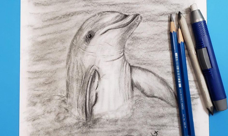Dolphin Learn How To Draw A Realistic Playful Dolphin Easy Step By Step Lesson Small Online Class For Ages 10 15 Outschool There is some special aura around them. dolphin learn how to draw a realistic playful dolphin easy step by step lesson small online class for ages 10 15