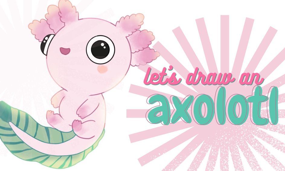 Let S Draw A Baby Axolotl Small Online Class For Ages 7 11 Outschool