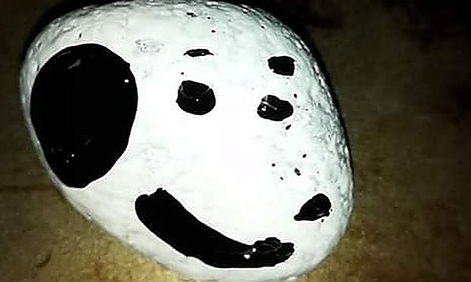 Rock Painting Social Time Small Online Class For Ages 9 13