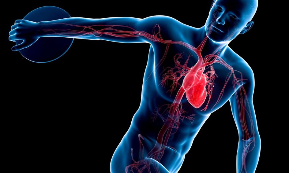 The Cardiorespiratory System! | Small Online Class for Ages 13-18