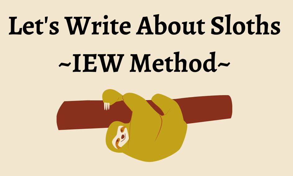 Let S Write About Sloths Iew Method Small Online Class For Ages 8 13 Outschool