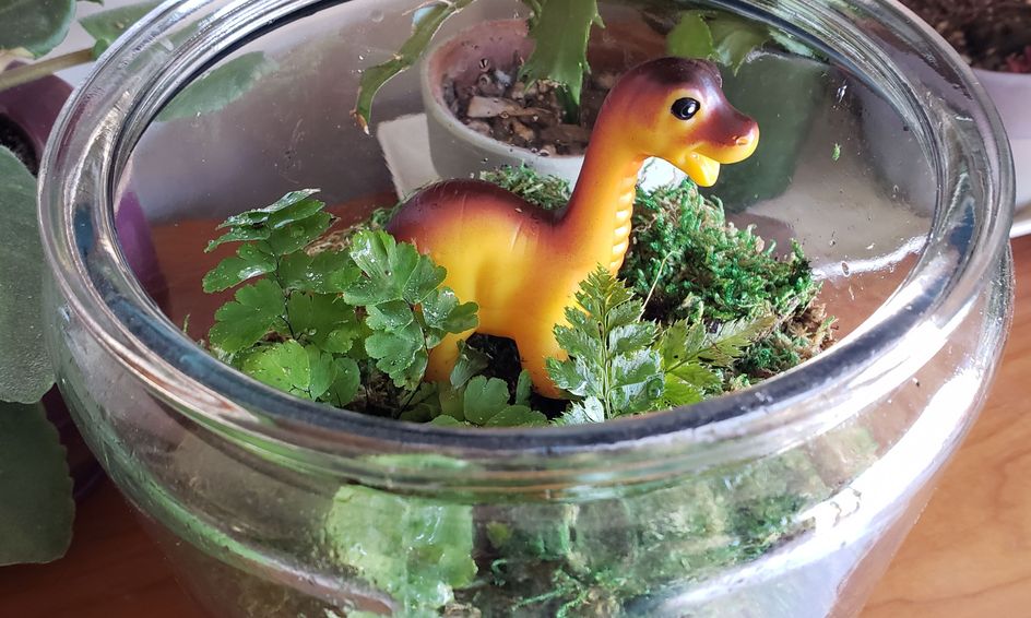 Make a Water Cycle Terrarium (Water Science - Part1) | Small Online