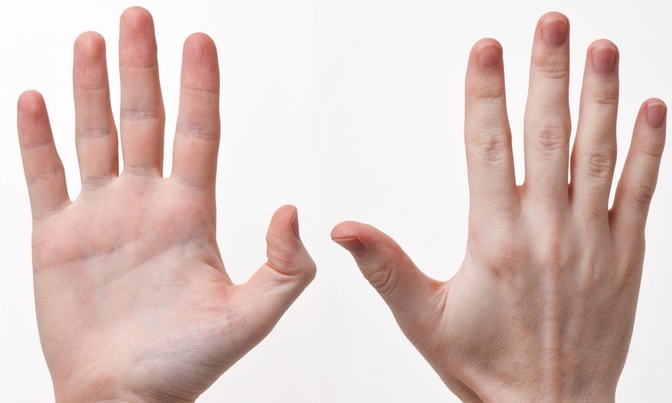 Asl For Preschoolers Small Online Class For Ages 3 5 Outschool