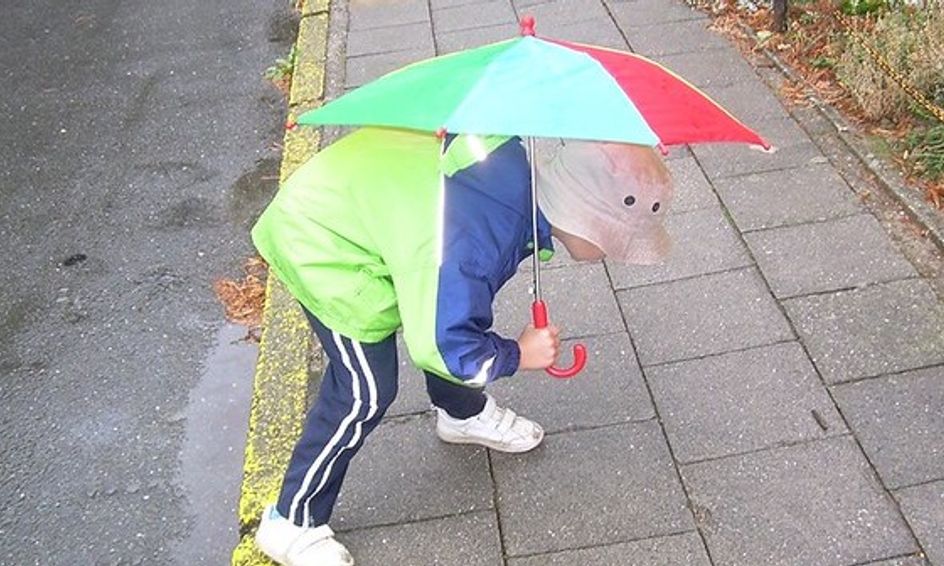 Learning The Water Cycle Through Song And Experiment Small Online Class For Ages 5 9 Outschool