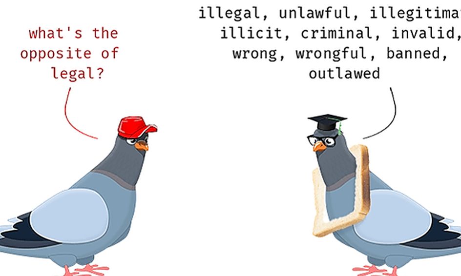 Weird Laws From Around The Globe Small Online Class For Ages 11