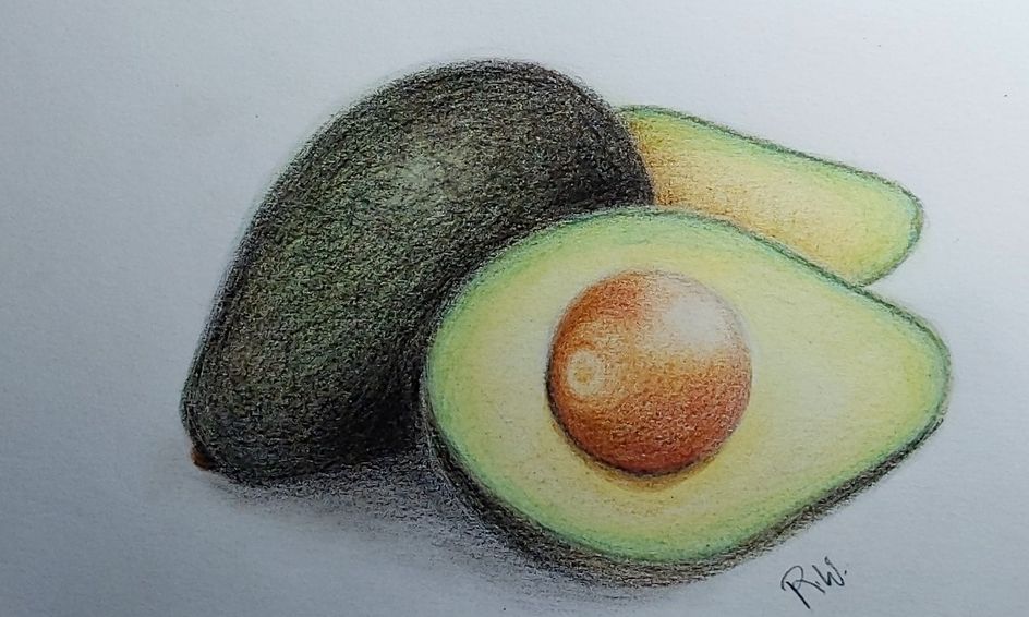 Avocado Realistic Drawing With Colored Pencils Small Online Class for