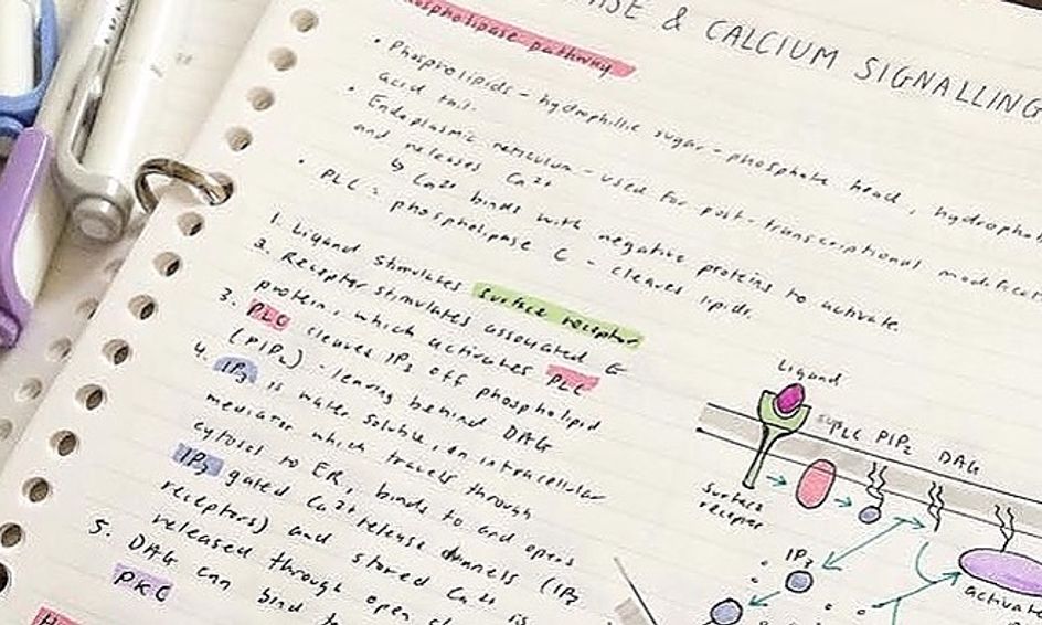 The Basics Of Notetaking Small Online Class For Ages 9 14