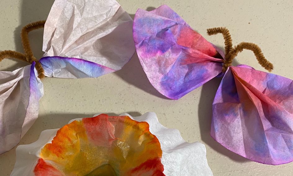 pics Chromatography Flowers With Coffee Filters chromatography flowers and butterflies small online class for ages 5 8
