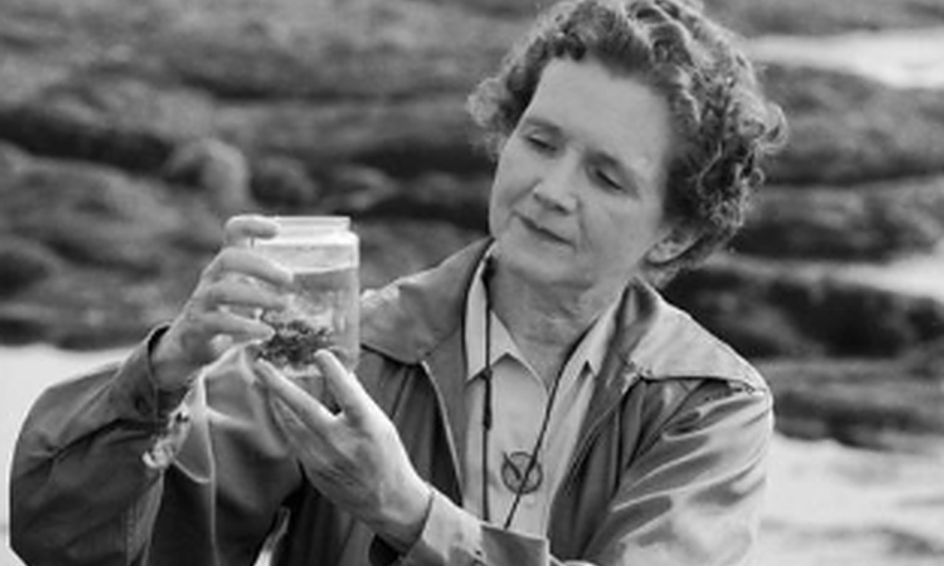 Rachel Carson A Brief Biography Small Online Class For Ages 9
