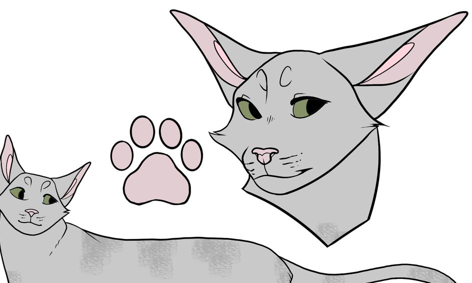 You Are A Warrior Cat Small Online Class For Ages 8 12 Outschool