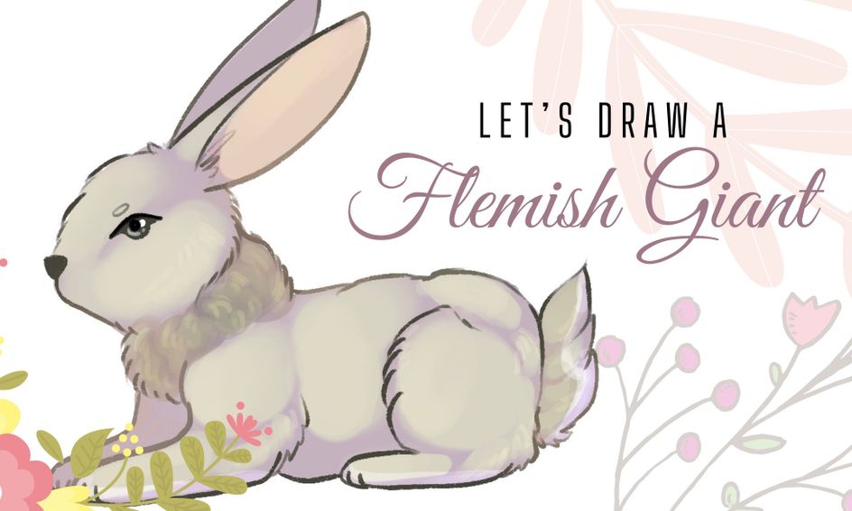 let s draw a flemish giant rabbit in procreate small online class for ages 8 12