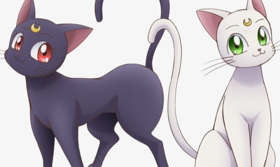 Animals Of Anime Lets Draw Some Cute And Fun Anime Animals Small Online Class For Ages 6 11 Outschool The icons who help define a series and offer a memorable figure when people try to recall a name. animals of anime lets draw some cute and fun anime animals small online class for ages 6 11